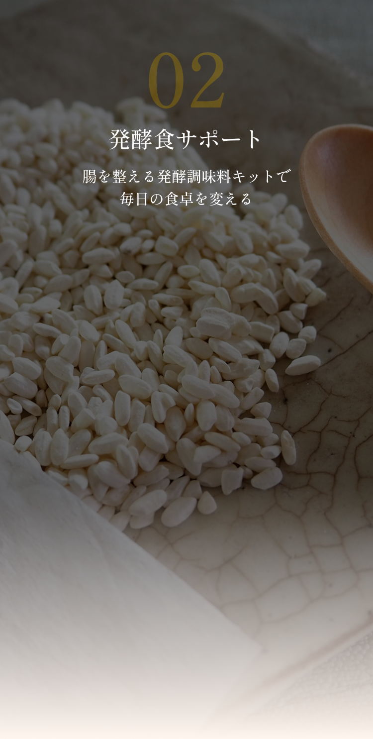 02 発酵食サポート 腸を整える発酵調味料キットで毎日の食卓を変える