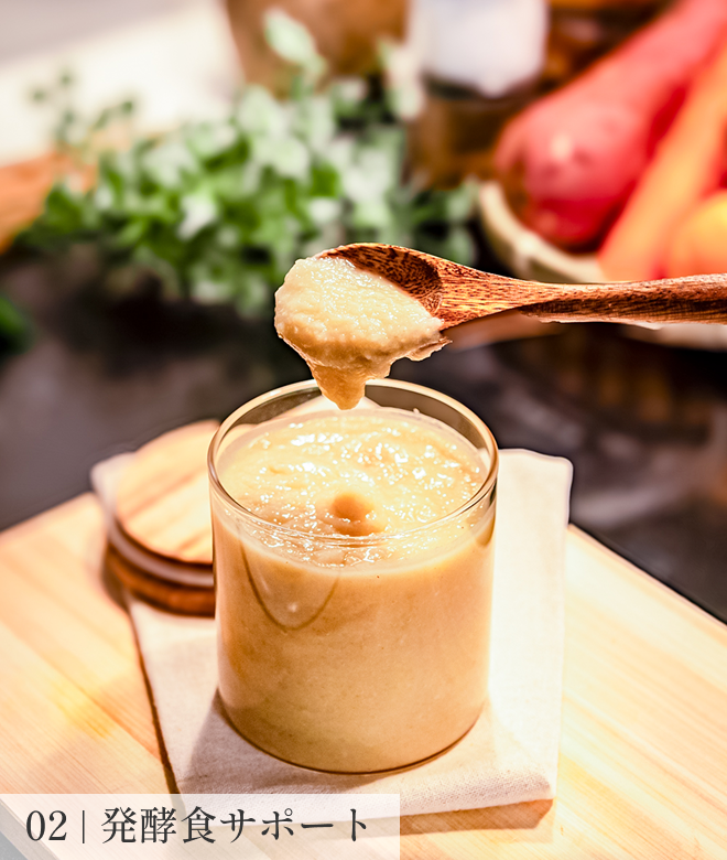 02 発酵食サポート