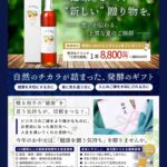 お中元
